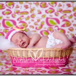 Newborn baby girl in basket and bright pink contemporary newborn photograph